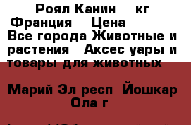  Роял Канин 20 кг Франция! › Цена ­ 3 520 - Все города Животные и растения » Аксесcуары и товары для животных   . Марий Эл респ.,Йошкар-Ола г.